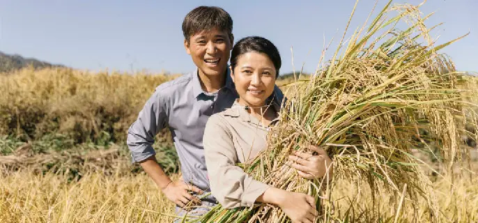 《山河锦绣》柳春江和叶英子在一起了吗