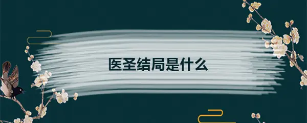 医圣结局是什么