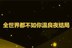 全世界都不如你温良夜结局