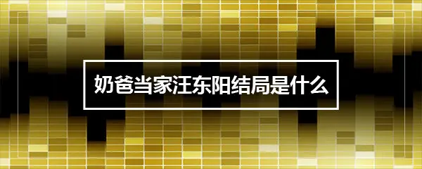 奶爸当家汪东阳结局