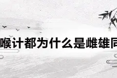 罗喉计都为什么是雌雄同体