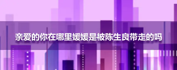 亲爱的你在哪里媛媛是被陈生良带走的吗