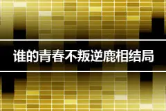 谁的青春不叛逆鹿相结局是什么