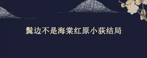 鬓边不是海棠红原小荻结局