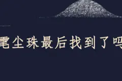 雮尘珠最后找到了吗