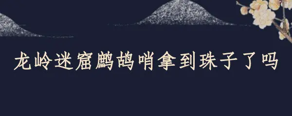 龙岭迷窟鹧鸪哨拿到珠子了吗