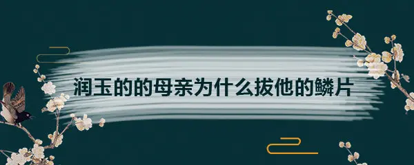 润玉的的母亲为什么拔他的鳞片