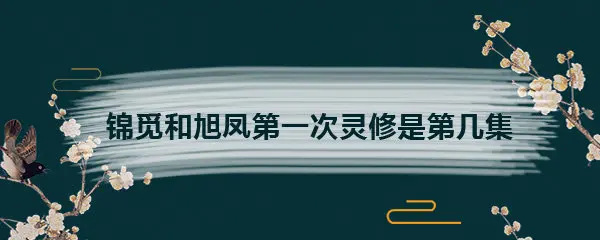 锦觅和旭凤第一次灵修是第几集