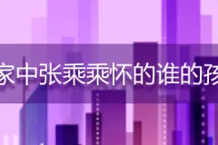 安家中张乘乘怀的谁的孩子